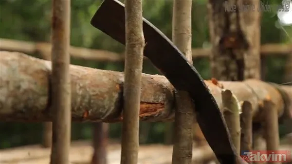 Sadece ağaç kullanarak öyle bir şey yaptı ki! YouTube videosu milyonlar izlendi - 24