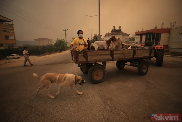 SON DAKİKA: Antalya Manavgat alevlere teslim oldu! İşte yürek yakan kareler - 19