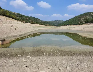 Gölette sular çekildi yüzlercesi öldü