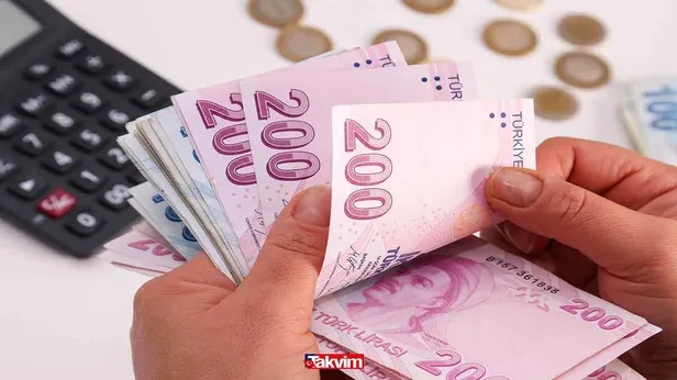 Vatandaşa devletten karşılıksız her ay 1150 lira ödeme! Bundan iyisi can sağlığı! Yalnızca e-devlet üzerinden başvuran alıyor...-4