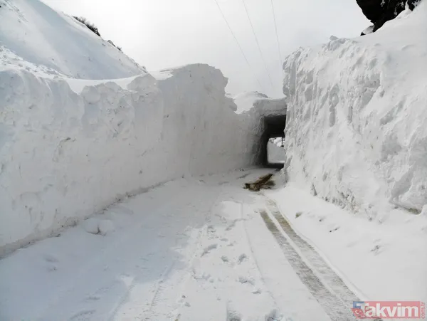 Ağrı'da çığ düşen köy yolunda ulaşım "kardan tünel" ile sağlanıyor - 4