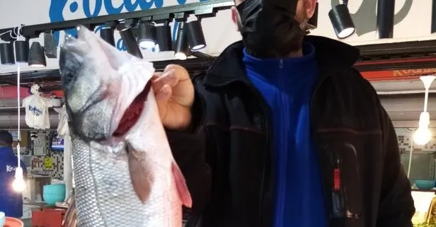 Balıkesir Bandırma’daki balık halinde oltaya takılan kalkan ve deniz levreği 900 liradan satıldı