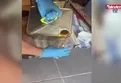 1 ton sahte bal ele geçirildi