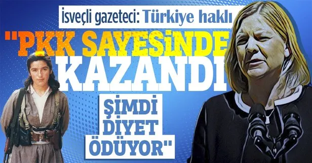 İsveçli gazeteci: PKK desteğiyle kazanan Başbakan Andersson şimdi diyet ödüyor