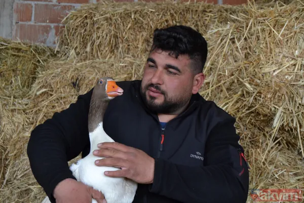 Kesmek için kaz aldı! Paşa şimdi en yakın arkadaşı - 5