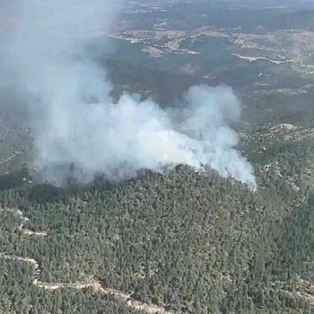 Kütahya’da orman yangını!