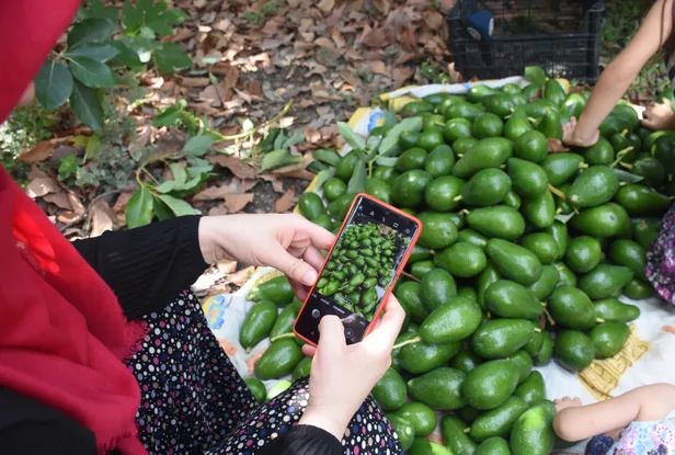 temizlik-isini-birakarak-uretime-basladi-kendi-isinin-patronu-oldu-bu-is-servet-degerinde-1602622117080.jpg Temizlik işini bırakarak üretime başladı! Kendi işinin patronu oldu! Bu iş servet değerinde...-7
