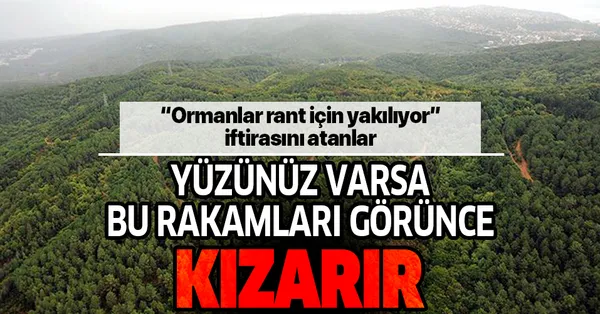 turkiye nin orman varligi 2023 e kadar