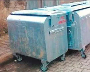 Cani anne bebeğini boğdu