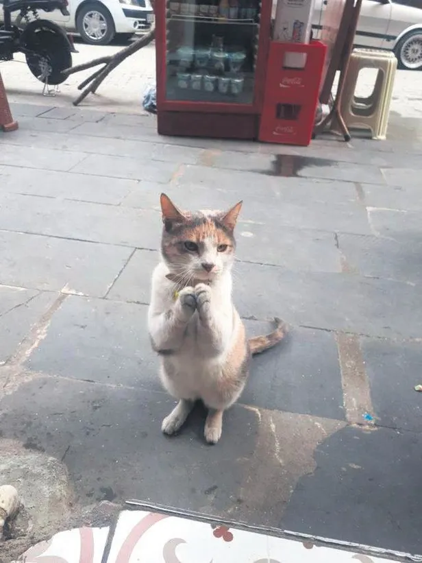 4-kadinin-yasadigi-eve-yuzde-100-zam-yapan-ev-sahibini-akillandiran-ceza-1642973524766.jpeg 4 kadının yaşadığı eve yüzde 100 zam yapan ev sahibini akıllandıran ceza!-3