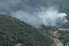 İzmir'de orman yangını! Ekipler harekete geçti