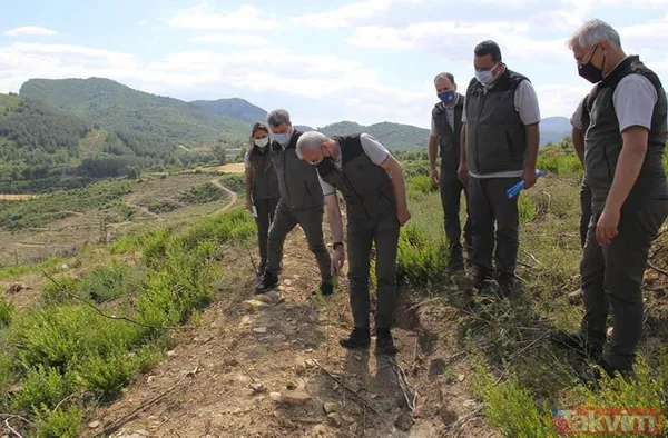 Adana Kozan'da geçtiğimiz yıl yanan 280 futbol sahası büyüklüğündeki alan 5 ay sonra yemyeşil - 4