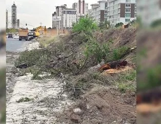 Çevrecilik ahkâmı kesen CHP, yol uğruna ağaçları katletti!