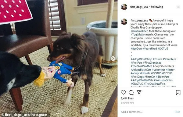 beyaz-sarayda-alman-krizi-saldirgan-davranislari-geri-adim-attirdi-1615278343287.jpg Beyaz Saray'da Alman krizi! Saldırgan davranışları geri adım attırdı-6