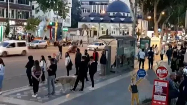 son-dakika-adiyamanin-sincik-ilcesinde-korkutan-deprem-afad-kandilli-son-depremler-listesi-1652463653086.jpeg Son dakika: Adıyaman'ın Sincik ilçesinde korkutan deprem! AFAD, Kandilli son depremler listesi-2