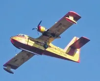 Çanakkale’de elektrik teline çarpan kuş yangına neden oldu: 550 hektarlık alan küle döndü!