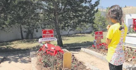 Vatan evladı