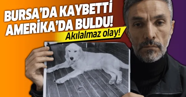 Bursa'da çalınan köpeğini dedektif gibi iz sürüp Amerika'da buldu
