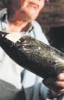 244 yıllık şarap: 103 bin Euro