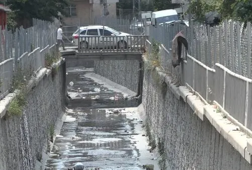 CHP’li İBB İstanbul’u sivrisineklere teslim etti!