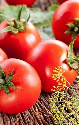 Domatesin faydaları saymakla bitmiyor