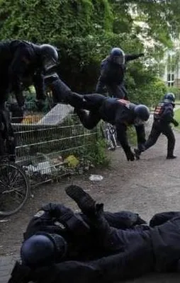 Zamanlaması harika fotoğraflar