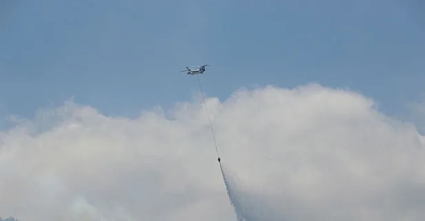 Hatay'da orman yangını! 4 kişi gözaltına alındı