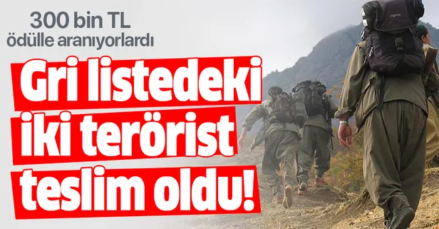 'Gri listedeki' 2 terörist teslim oldu!