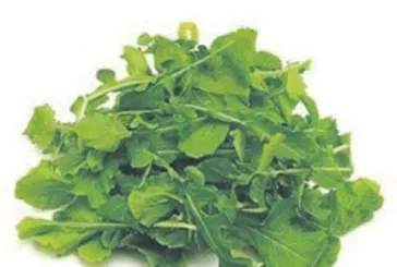 Kemiklere çare roka