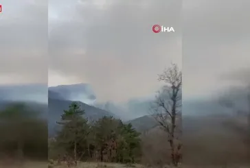 Balıkesir'de orman yangını
