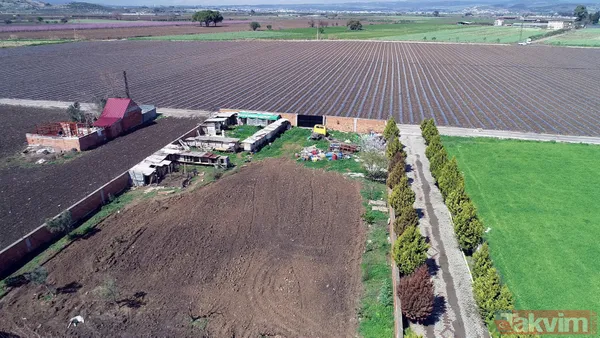 Tanesi 7 TL'ye yumurta! Yere atıldığında bile kolay kolay kırılmıyor - 14