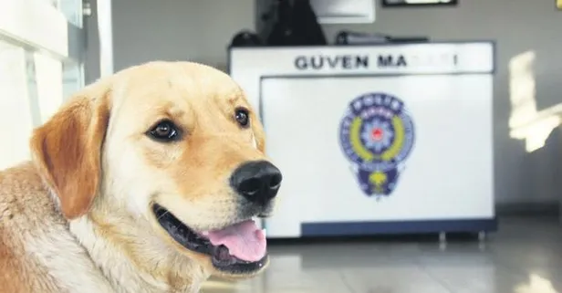Kaybolan köpek karakola sığındı