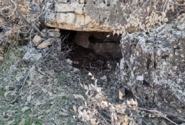 SON DAKİKA: Mardin'de PKK ajandası ele geçirildi: 25 terör işbirlikçisinden 22'si yakalandı-3