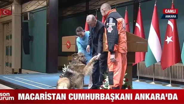 Başkan Erdoğan ın Macaristan arama kurtarma köpeğini sevdiği anlar renkli