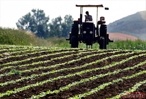 Tarım ve Orman Bakanlığı 200 PERSONEL ALIMI: Sözleşmeli personel alımı başvurusu ne zaman, nasıl, hangi branşlarda yapılacak? - 7