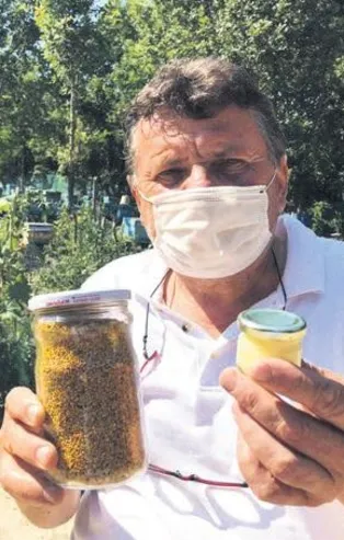 Arı sütüne talepler arttı! 7-8 bin liradan satılıyor...