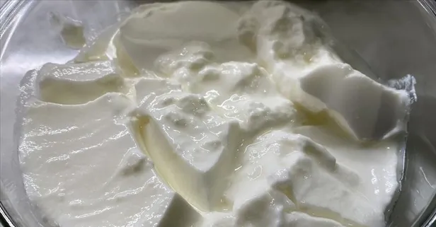 Kemiklere yoğurt gücü