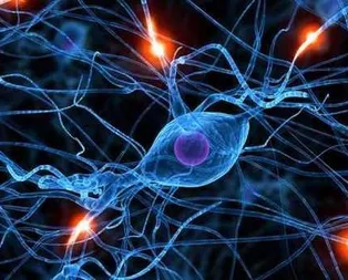 Sağlık turizminde kök hücre dönemi