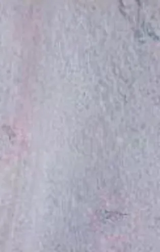 Azerbaycan Savunma Bakanlığı paylaştı! Vurulan Ermeni hedefleri havadan görüntülendi