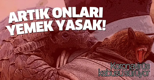 Koronavirüs kabusu devam ediyor! Koronavirüs'ün kaynağı ne? Artık onları yemek yasak!