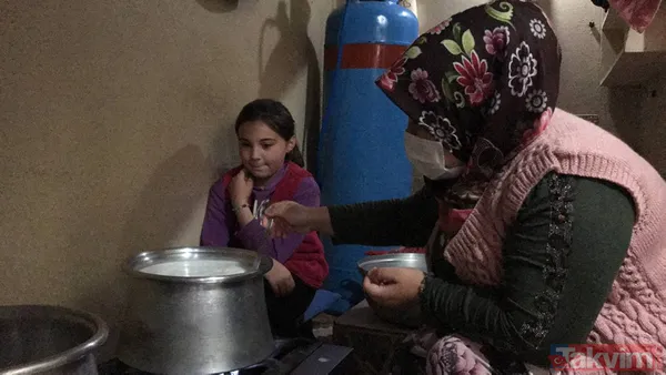 Manda sütü bir köyü kurtardı! Herkes geçimini sağlıyor! Kaymağın kilosu 120 lira - 3