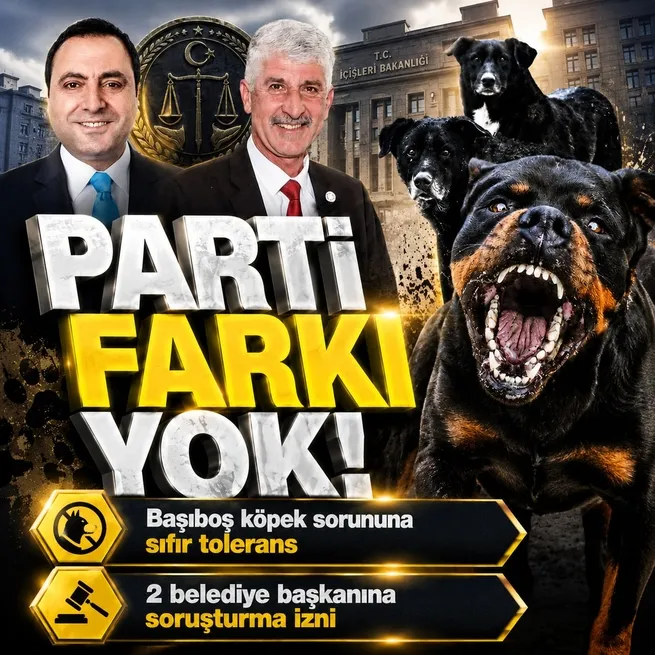 Sahipsiz köpek saldırıları sonrası 2 belediye başkanına soruşturma, 1 belediye başkanına ön inceleme izni