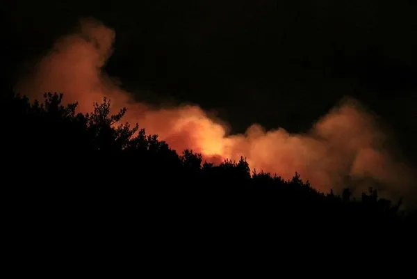 Pozantı'daki orman yangını gece de devam etti-1