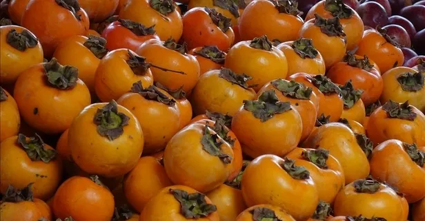 Hurmanın faydaları saymakla bitmiyor