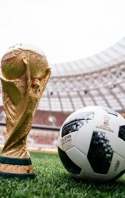 2018 Dünya Kupası maç programı