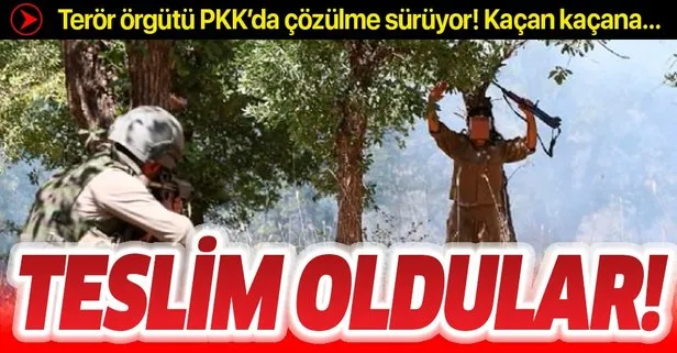 Şırnak Silopi’de 5 PKK’lı terörist teslim oldu!