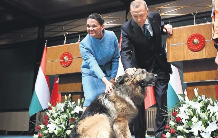 tarihi-dostluk-baskan-erdoganin-macaristan-ziyareti-iki-ulke-ticari-iliskilerine-yeni-rota-cizecek-1702860884921.jpeg Tarihi dostluk! Başkan Erdoğan'ın Macaristan ziyareti iki ülke ticari ilişkilerine yeni rota çizecek-2