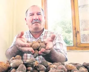 Yasaklı orkideye 40 bin TL ceza!