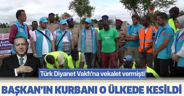 Başkan Erdoğan'ın kurbanı Togo'da kesildi