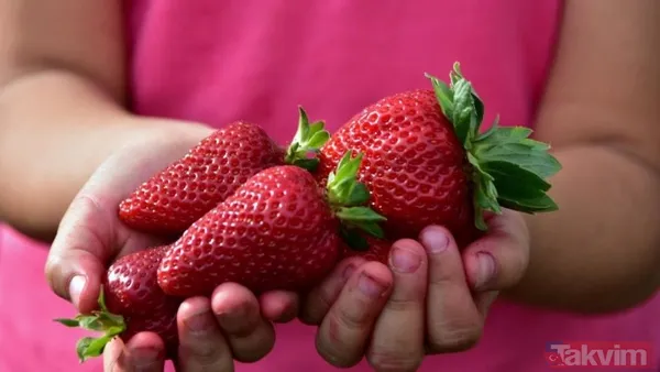 Bilim insanları tarafından resmen onaylandı! Bu yiyecekler yedikçe mutluluk veriyor! Serotonin deposu o besinler.... - 19
